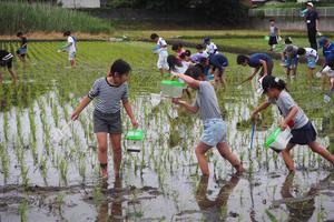 これなんの虫だろう・・・?あとで先生に聞いてみよう!の内容を表示