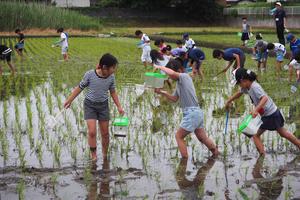 これなんの虫だろう・・・？あとで先生に聞いてみよう！の内容を表示