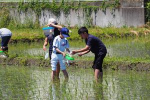 逃さないように、そっと虫かごにいれようの内容を表示