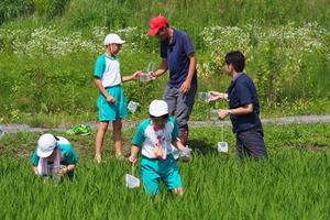 土屋さん、この虫はなんですか??の内容を表示