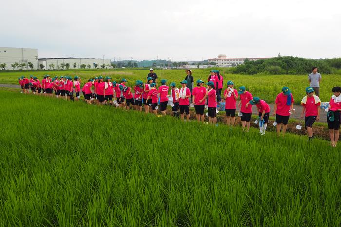 さあ、一列に並んで、田んぼの生き物調査開始です！！の内容を表示