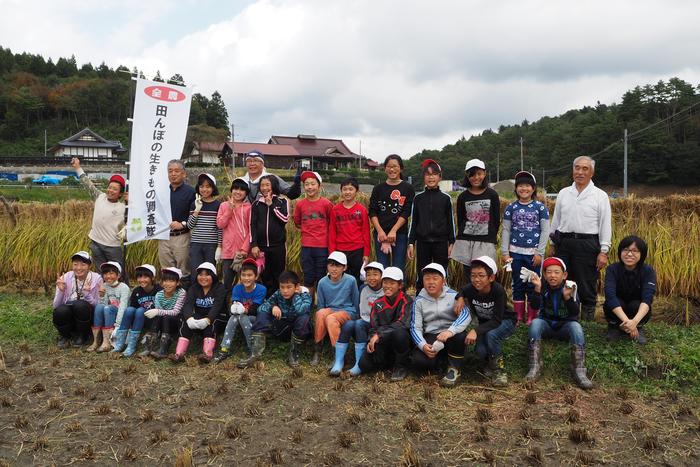 田んぼの生き物調査隊（小平小学校編）の内容を表示