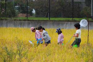 生き物はどこかな～の内容を表示