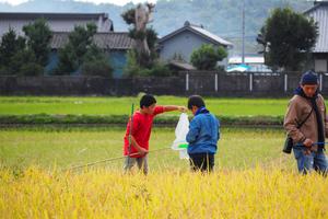 逃げないように慎重に！の内容を表示