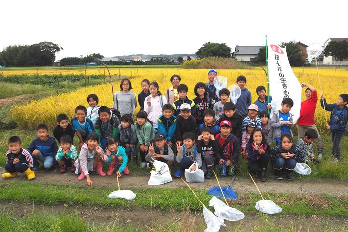 田んぼの生き物調査隊（草野小学校編）の内容を表示