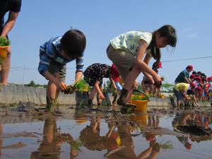 上手に植えられるかな？？の内容を表示