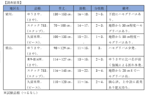 圃場で乾燥中の玉ねぎ(そうま地区)の内容を表示