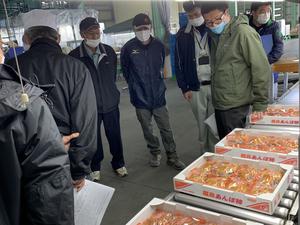 「蜂屋柿」出荷目揃会の様子の内容を表示
