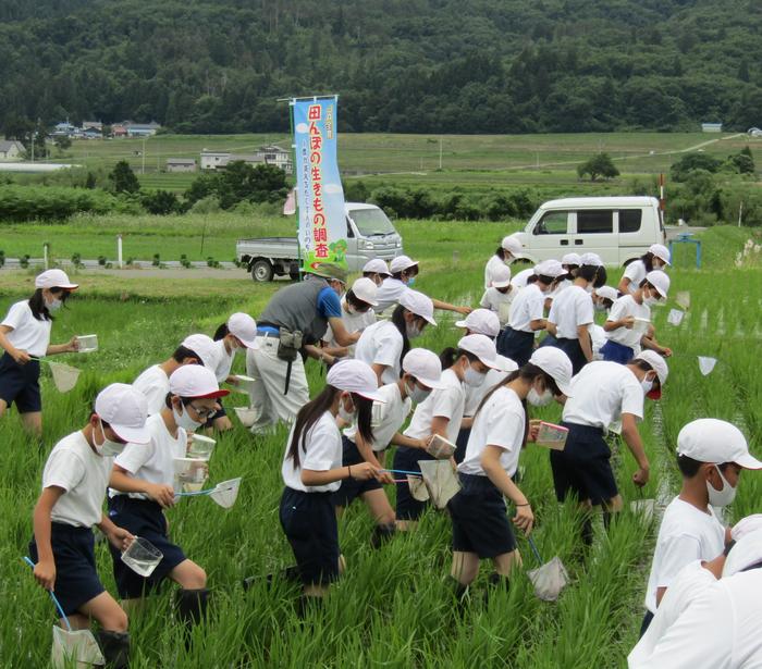 生徒たちは生き物探しに夢中です！の内容を表示