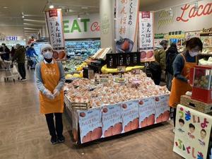 「ヤオコー様（新浦安店）売場の様子1/15日」の内容を表示