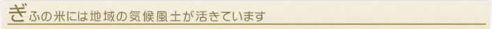 「ぎふの米」には地域の気候風土が活きています