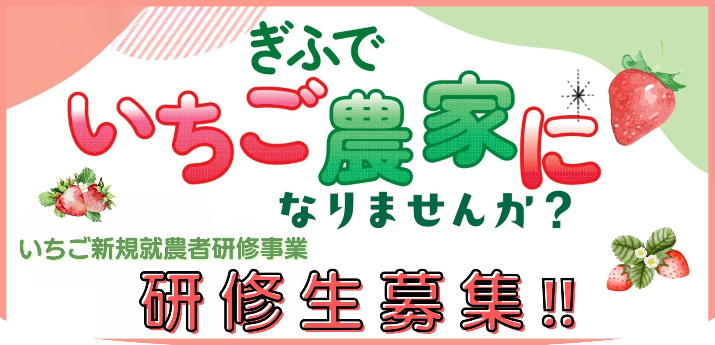 ぎふでいちご農家になりませんか？いちご新規就農研修事業 研修生募集！！