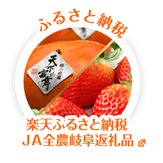 楽天ふるさと納税ＪＡ全農岐阜返礼品
