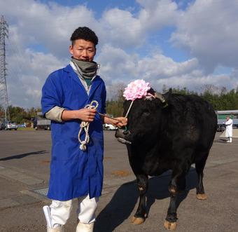 雌の部で最優秀を受賞した(株) 横山畜産の内容を表示