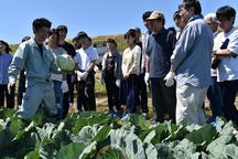 JA職員から収穫方法を学ぶ参加者の内容を表示