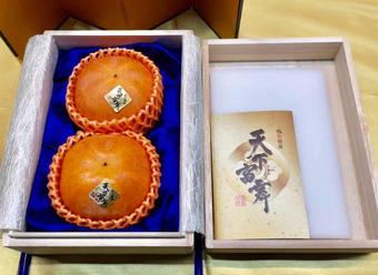 今年の初セリで75万6千円(2玉・税込)の値が付いた柿「天下富舞」最高ランクの天下人の内容を表示