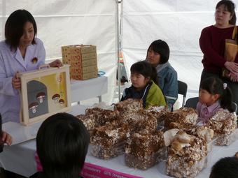 紙芝居で「やまっこ」の育て方を紹介の内容を表示