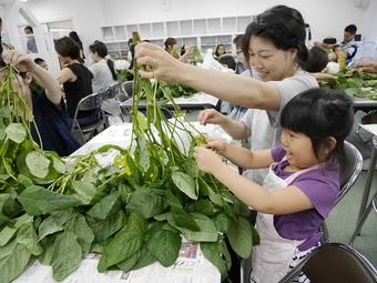 枝から「岐阜えだまめ」を楽しそうに収穫する様子の内容を表示