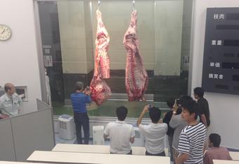 JA飛騨ミートでの枝肉の視察の内容を表示