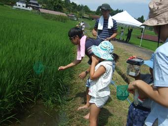 何が見つかるかとわくわくしながら田んぼに入る子どもたちの内容を表示