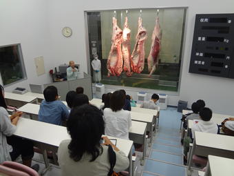 JA飛騨ミートでの枝肉の視察の内容を表示