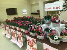 販売した花の陳列の様子の内容を表示