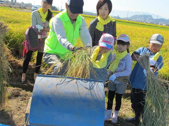 手刈りや脱穀の体験で子どもたちは興味津々の内容を表示