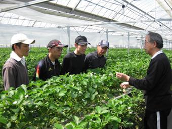 イチゴの生理生態を学ぶ11期生（4人）の内容を表示