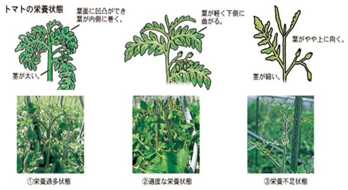 講習会資料の一部の内容を表示