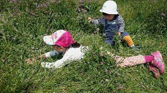 体いっぱいでレンゲの花を楽しむ子どもたちの内容を表示
