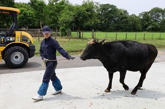 研修風景の内容を表示