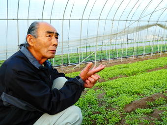 七草の魅力を語る菱川さん。年末に向けた栽培が腕の見せ所！と意気込みますの内容を表示