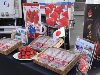 輸出には長距離輸送に耐えられるよう、出荷資材「ゆりかーご」を使用の内容を表示