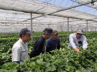 栽培技術指導を受ける１4期生（左側の3人）の内容を表示