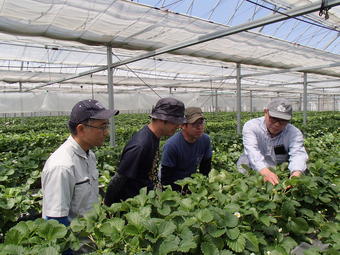 栽培技術指導を受ける14期生(左側の3人)の内容を表示