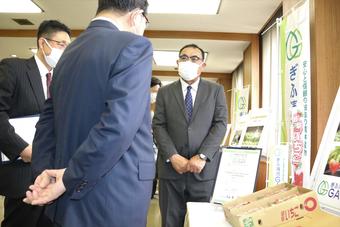 いちご研修所での取り組みを古田知事に説明する様子の内容を表示