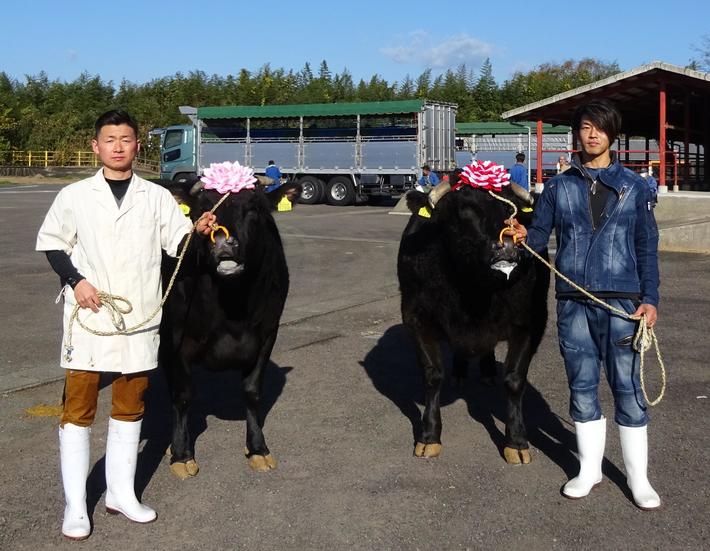 雌の部で最優秀賞を受賞した（株）横山畜産（左）、去勢の部で最優秀賞を受賞した若山牧場（右）の内容を表示