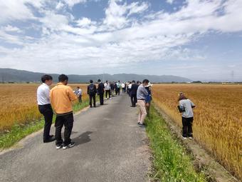 海津地区圃場視察の内容を表示