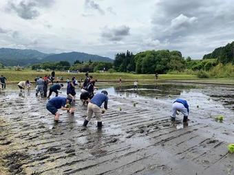 田植えに取り組む様子の内容を表示