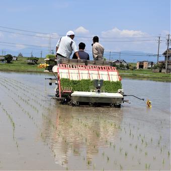 でこぼこ進む田植機の内容を表示