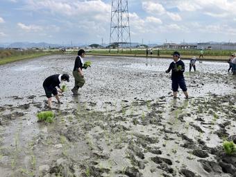 田植えに挑戦する農福アグリ隊メンバーの内容を表示