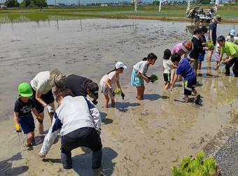 田植えに取り組む様子の内容を表示