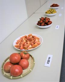 岐阜県産夏秋の内容を表示
