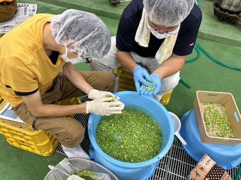 丁寧に選別の内容を表示