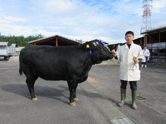 雌の部で最優秀賞を受賞した㈱横山畜産の内容を表示