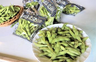 塩茹でした岐阜えだまめの内容を表示