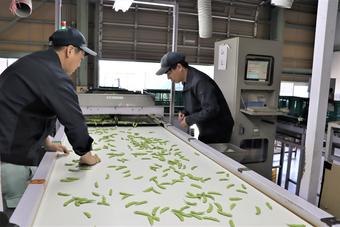 3回目の選別作業の内容を表示
