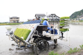 苗と肥料を搭載の内容を表示