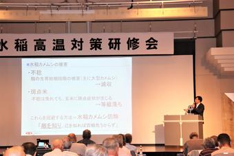 イネカメムシについて紹介の内容を表示