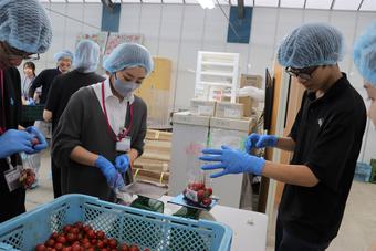 規定量を袋に詰めるの内容を表示